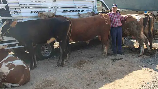 Bayram yaklaştı pazarlıklar kızıştı