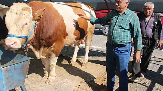 Bayram yaklaştı pazarlıklar kızıştı