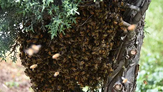 Kocasinan Belediyesi'nde film gibi operasyon