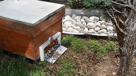 Kocasinan Belediyesi'nde film gibi operasyon