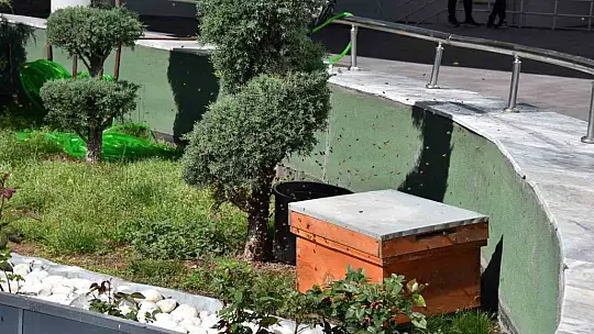 Kocasinan Belediyesi'nde film gibi operasyon