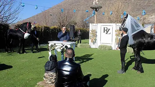 Bu düğün diğerlerinden çok farklı