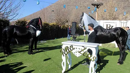 Bu düğün diğerlerinden çok farklı