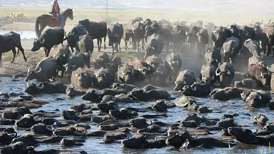 Hürmetçi Sazlığı, hassas alan ilan edildi