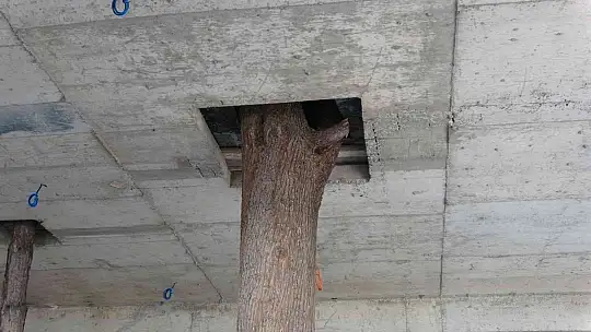 Bu inşaatı görenler şaşırıyor