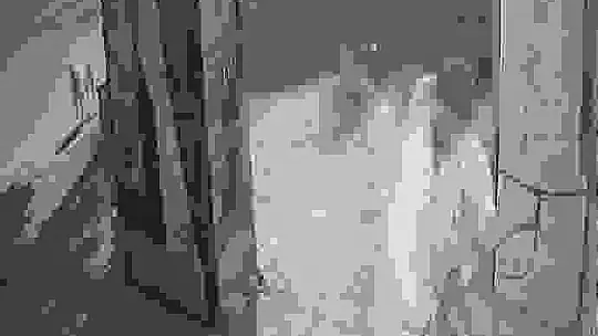 Büfeye dadanan dondurma hırsızı kameralara yakalandı