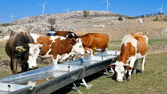 Büyükkılıç'tan çifçilere ve besicilere büyük destek