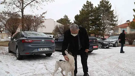 Büyükşehir, 1 yılda 10 bin sokak hayvanına sahip çıktı