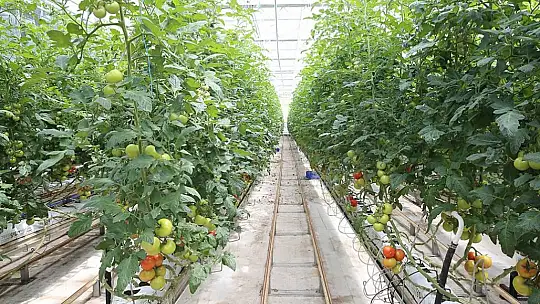 Büyükşehir, 1 yılda 13 milyon kilogram evsel atığı bertaraf etti