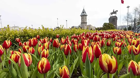 Büyükşehir, ilkbahar ve sonbaharda 2 milyon 960 bin 100 adet çiçek dikecek