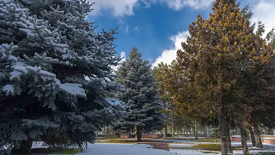 Büyükşehir kapalı yol bırakmadı