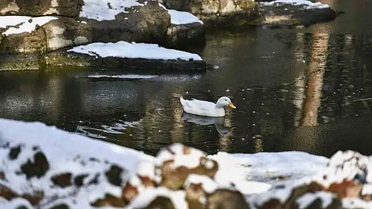 Büyükşehir kapalı yol bırakmadı