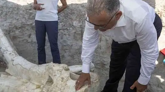 Büyükşehir belediyesi kentin tarihine sahip çıktı