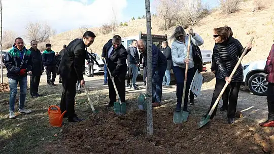 Büyükşehir'den anlamlı günde hatıra ormanı
