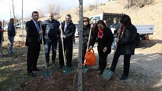 Büyükşehir'den anlamlı günde hatıra ormanı