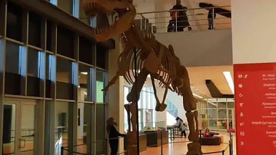 7,5 milyon yıllık fosiller gün yüzüne çıkıyor