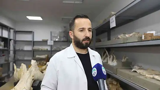 7,5 milyon yıllık fosiller gün yüzüne çıkıyor