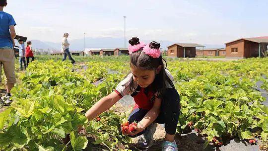 Minikler organik tarımı eğlenerek öğrendiler