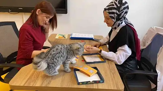 Büyükşehir'in Engelsiz Yaşam Merkezi'nin yeni üyesi 'Şeker'