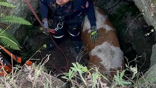 Kuyuya düştü! İtfaiye 2 saatlik çalışma sonucu kurtardı