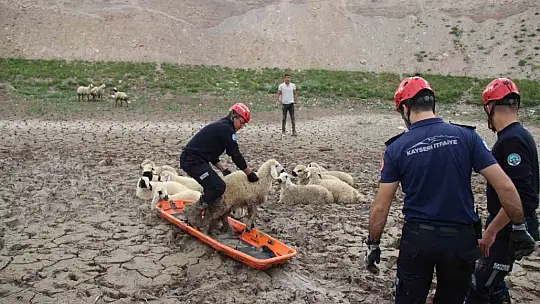 Koyunlar 2 saatte kurtarıldı