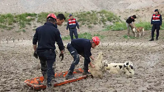 Koyunlar 2 saatte kurtarıldı
