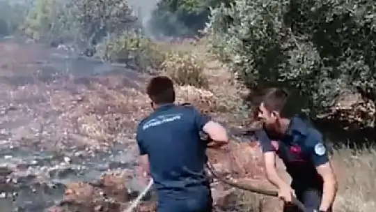 Kayseri İtfaiyesi, Mersin'deki orman yangınlarıyla mücadele etti