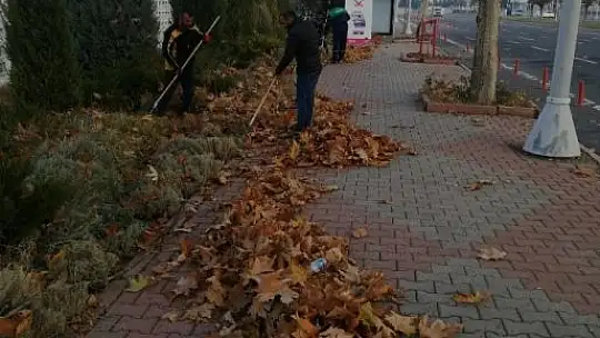 Büyükşehir, topladığı gazelleri gübreye dönüştürüyor