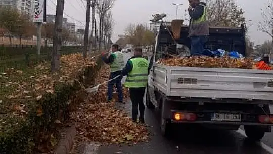 Büyükşehir, topladığı gazelleri gübreye dönüştürüyor