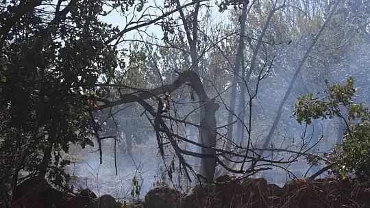 Melikgazi'de 40 dönüm alan yandı