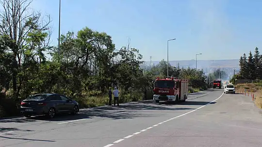 Melikgazi'de 40 dönüm alan yandı