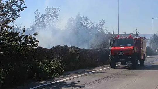 Melikgazi'de 40 dönüm alan yandı