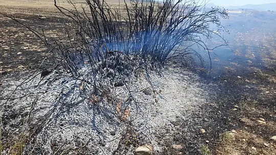 Kayseri'de havaların ısınmasıyla anız yangınlarında artış yaşandı