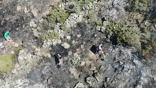 Kayseri'de havaların ısınmasıyla anız yangınlarında artış yaşandı