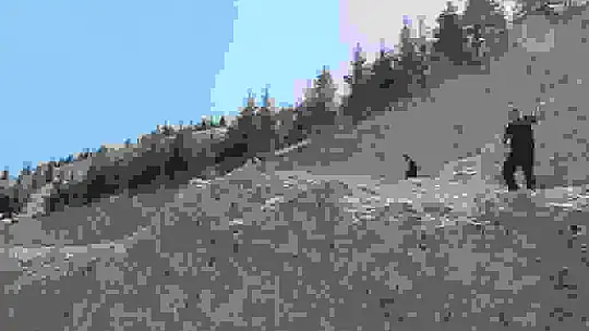 Dağ çayı toplarken depreme yakalandı, ayakları kayıp kayalıklardan düştü