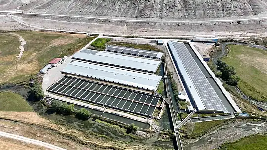 Denizi olmayan Kayseri'de bakın alabalık üretimi ne kadar?