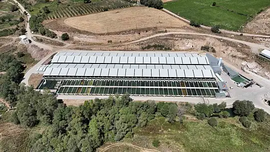 Denizi olmayan Kayseri'de bakın alabalık üretimi ne kadar?