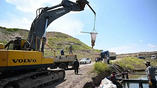 Kayseri'de Türk somonu hasadı başladı