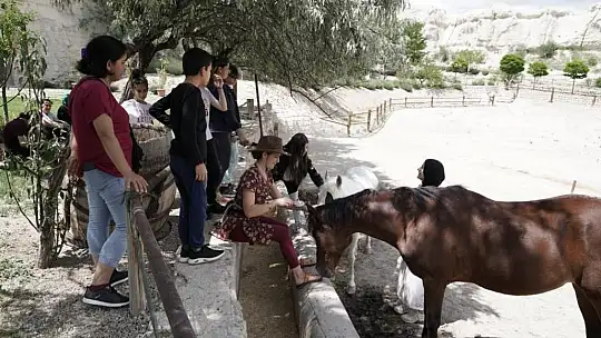 Deprem korkularını ata binerek yendiler