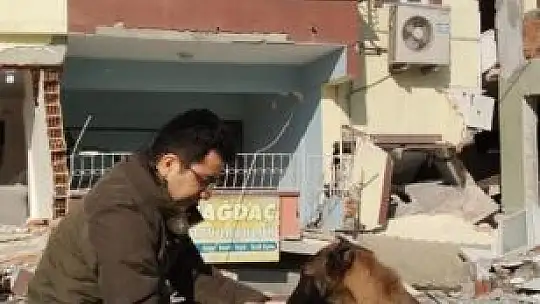 Depremden etkilenen hayvanların yaraları sarıldı