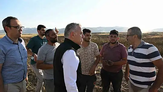 Develi'de anız yangını!