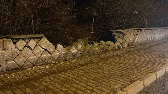 Direksiyon hakimiyetini kaybetti, duvara çarptı