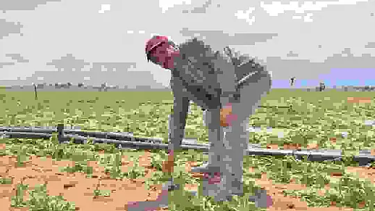 Dolu yağışı, çiftçinin bir yıllık emeği ve alın terini götürdü