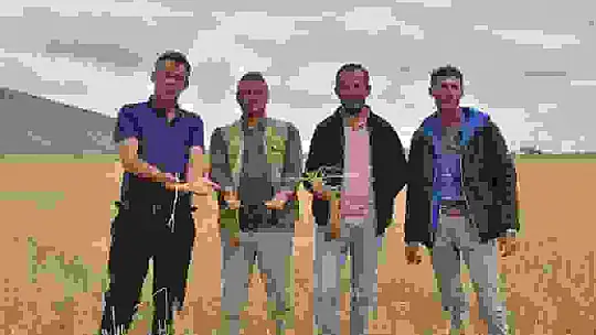 Dolu yağışı, çiftçinin bir yıllık emeği ve alın terini götürdü