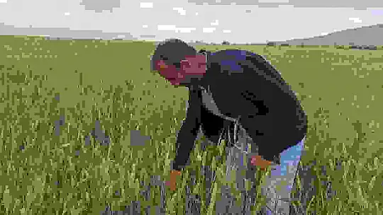 Dolu yağışı, çiftçinin bir yıllık emeği ve alın terini götürdü