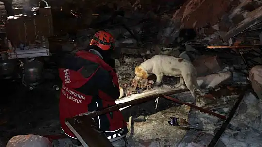 Umutlu arama çalışmaları sürüyor