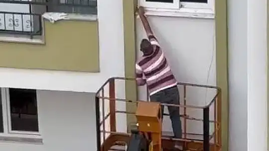 Evden kaçan papağanı için vinç getirtti