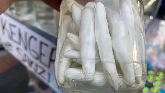 Faydası saymakla bitmiyor: Kilosu 2 bin 500 TL