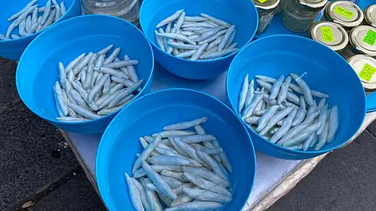 Faydası saymakla bitmiyor: Kilosu 2 bin 500 TL