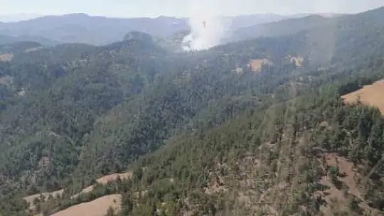 Feke'de orman yangını